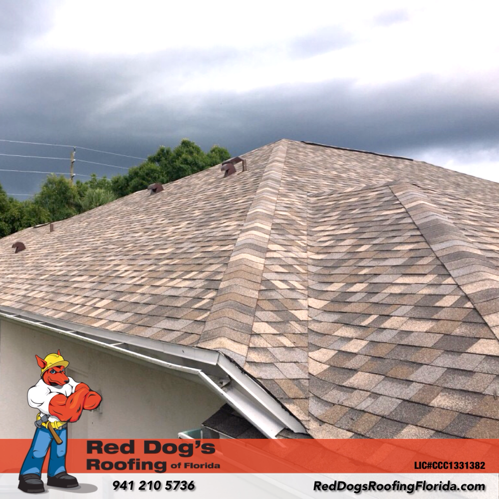 Red Dog’s Roofing of Florida